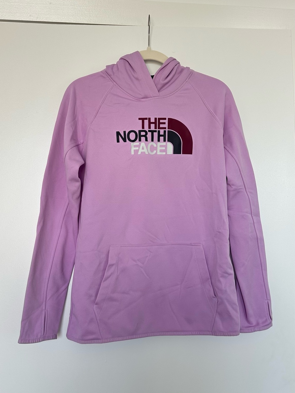 THE NORTH FACE FAVE HALF DOME PULLOVER HOODIE WOMEN'S